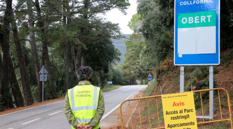 Pla obert d'un guarda forestal en una carretera del Montseny en un operatiu preventiu a l'espera de regular el pas de vehicles (arxiu). ACN