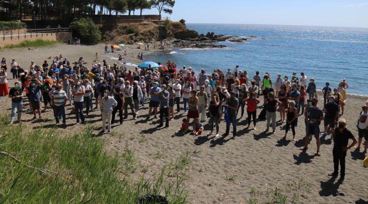 Els manifestants a la platja de la Farella de Llançà. ACN