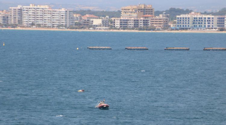 Els efectius dels GEAS i de l'Armada allunyant l'explosiu trobat a Roses. ACN