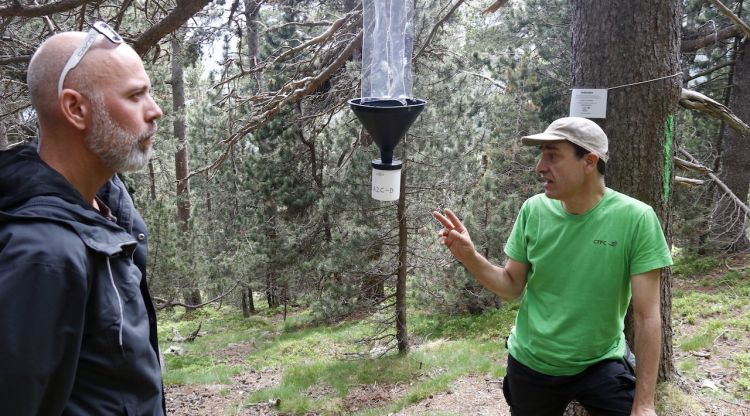 Dos tècnics a la finca de Setcases amb una de les trampes. ACN