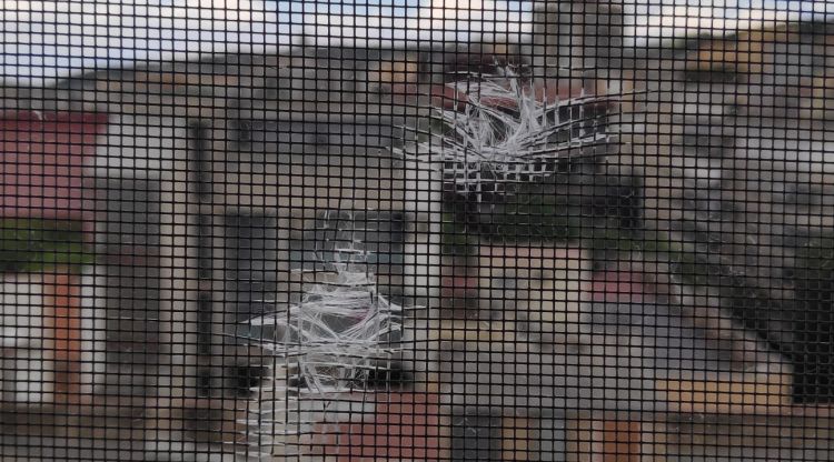 Els forats que han aparegut en una finestra del centre