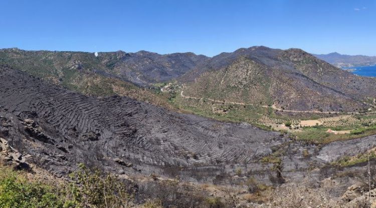 Superfície cremada al Parc Natural del Cap de Creus, aquesta tarda