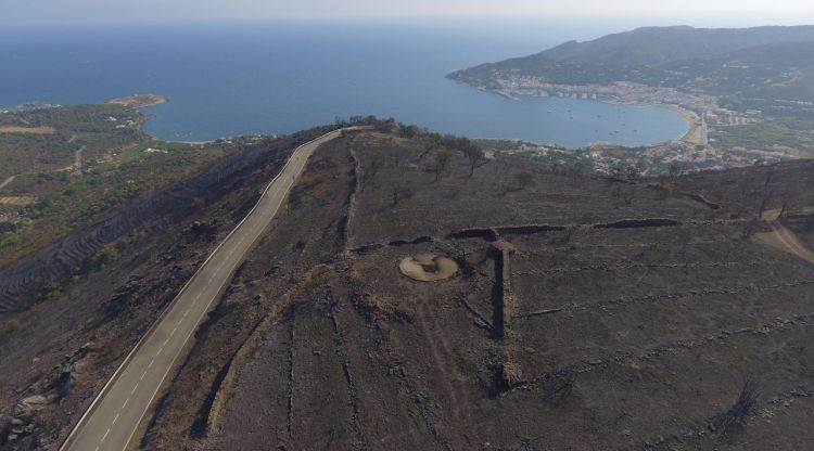 Pla aeri de la zona de Sant Pere de Rodes cremada amb el Port de la Selva de fons. ACN