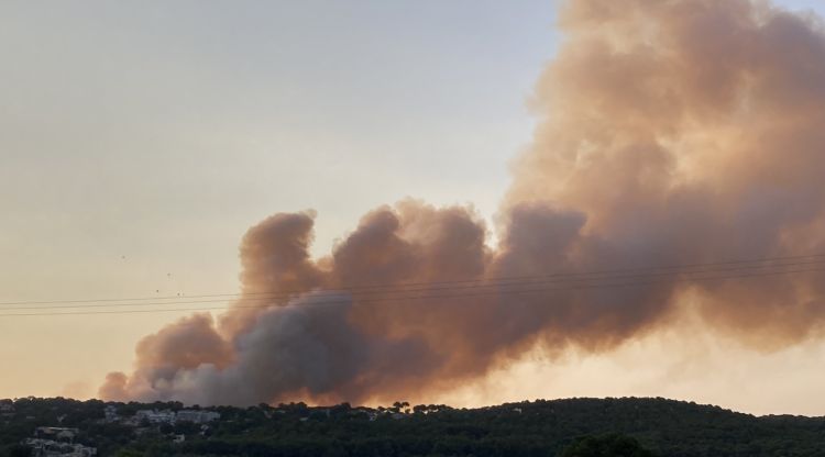 Columna de fum d'un incendi al massís de Montgrí vist des de l'Estartit. ACN