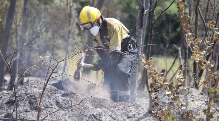 Un forestal remenant la terra cremada a Ventalló. ACN