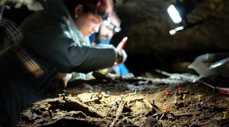 En primer pla restes òssies identificades amb dues investigadores de fons al jaciment del Roc de les Orenetes