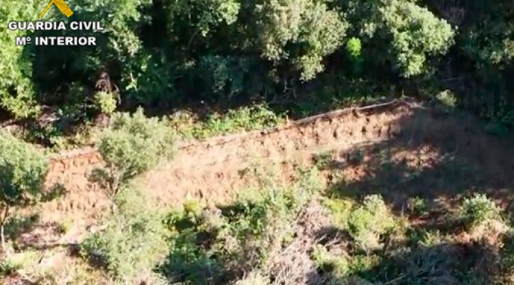 Imatge aèria de la zona on s'han localitzat les plantacions de marihuana d'Arbúcies
