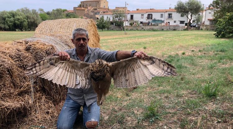 Jaume Ramot, president del Grup de Natura Sterna, amb el duc electrocutat