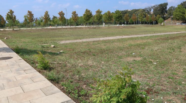 Un dels solars de Girona, a Domeny, on s'aixecaran pisos de protecció oficial. ACN