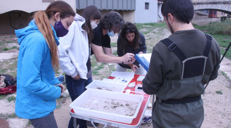 Diversos membres de Naturalistes de Girona observant pel microscopi davant del riu Onyar de Girona. ACN