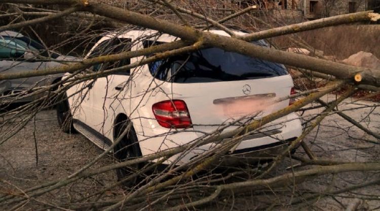 Un arbre tombat per la força del vent damunt un cotxe a Sant Julià de Cerdanyola (Berguedà)