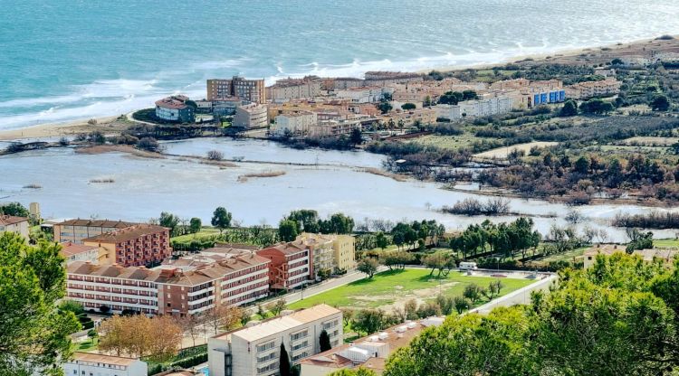 Vista aèria de la zona de la llacuna del Ter Vell afectada per l'incendi.