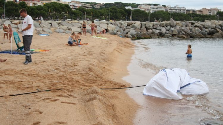 La cria de catxalot morta, al racó de Palm Beach de la platja de Sant Feliu de Guíxols © ACN