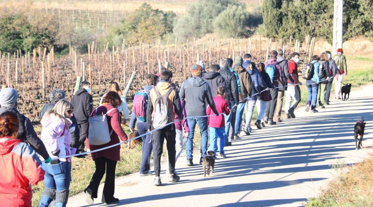 Els veïns d'Espolla que han participat en la caminada pujant al turó amb la vara que simula una pala de l'aerogenerador. ACN