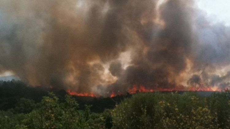 Les flames cremant al terme municipal de Garriguella © Edu Boada
