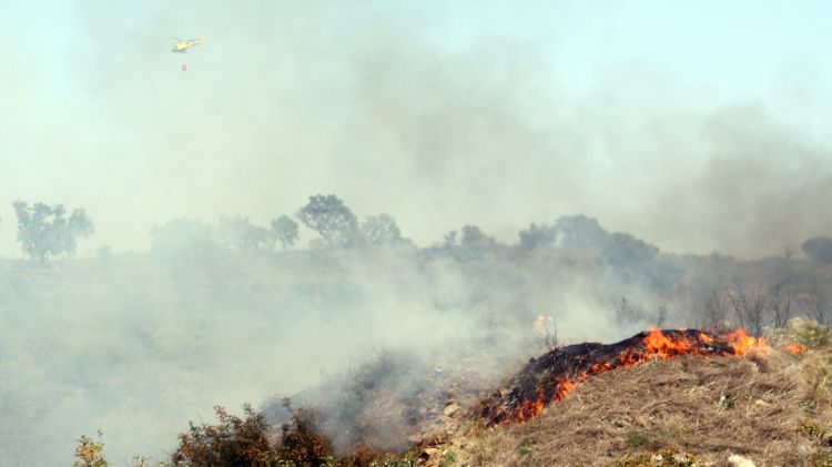 L'incendi forestal de Garriguella i Rabós ja ha cremat unes 50 hectàrees © ACN