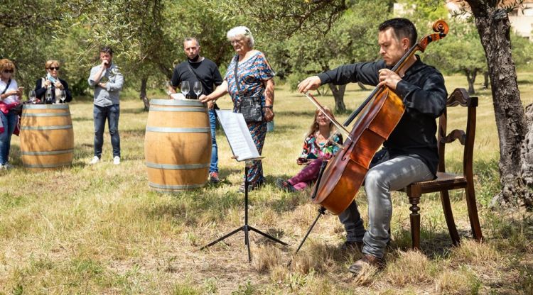 Un instant de l'activitat "vivivi" a que se celebra a Cantallops. Xènia Gasull