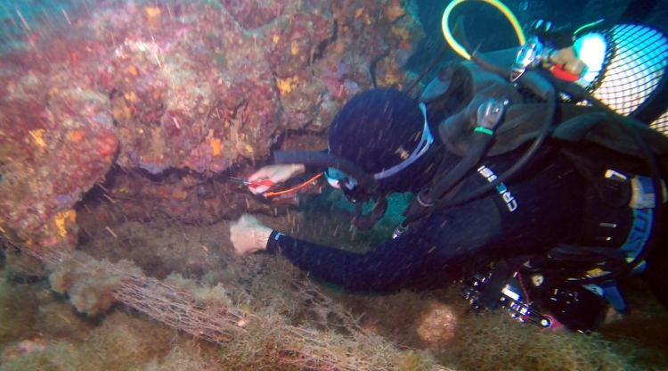 Un submarinista retirant una art de pesca del fons marí