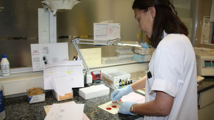 Laboratori on es comproven grups sanguinis © ACN