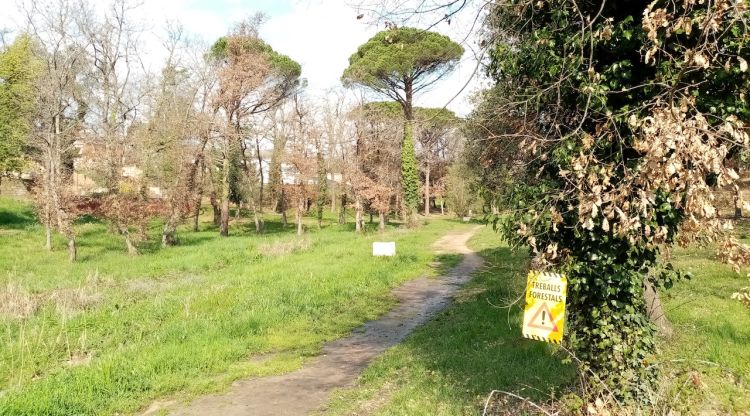 Una de les parcel·les que gestiona el Consell Comarcal de la Selva per netejar els boscos i prevenir incendis