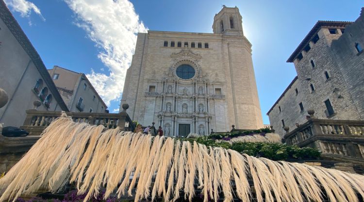 Les escales de la catedral de Girona convertides en un mar per Temps de Flors. ACN