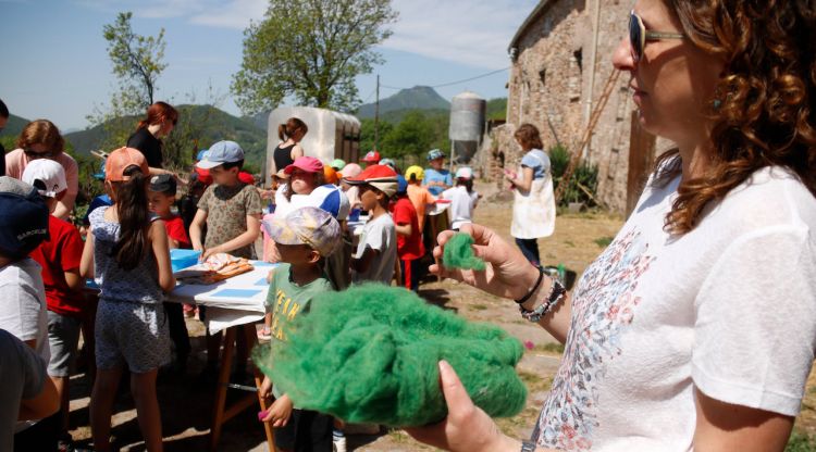 Un taller de llana a una granja d'Ogassa. ACN