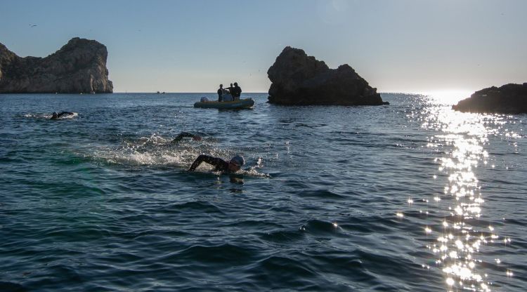 Participants en una edició anterior d'Oncoswim al seu pas per les Illes Medes. Lluís Jo
