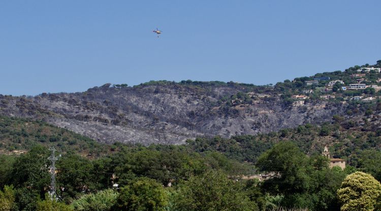 Zona cremada en el recent incendi a Castell d'Aro (arxiu). Rosa Matesanz