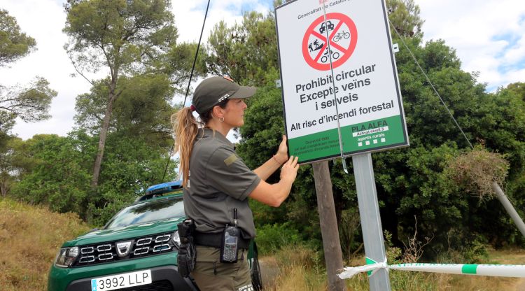 Una agent rural desplegant un cartell que informa sobre el tancament del parc natural del Montgrí a l'accés que dona a l'Estartit. ACN