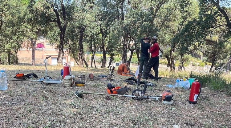 Parcel·la on els operaris treballaven fent feines de neteja forestal utilitzant desbrossadores