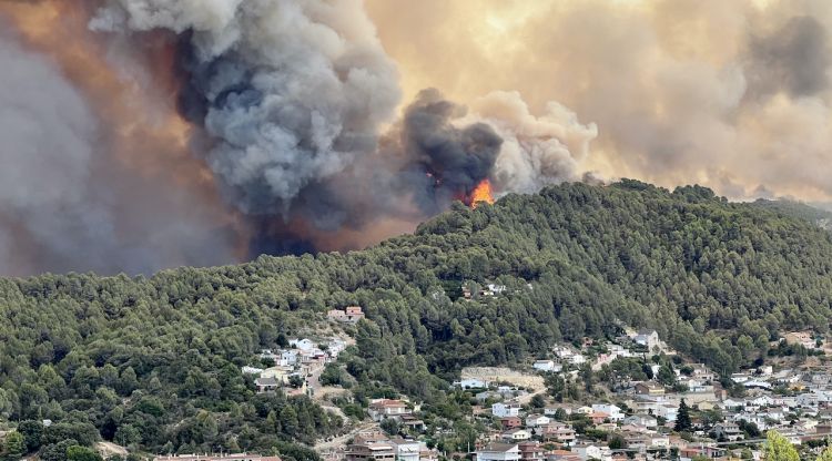 L’incendi del Pont de Vilomara, el diumenge. ACN