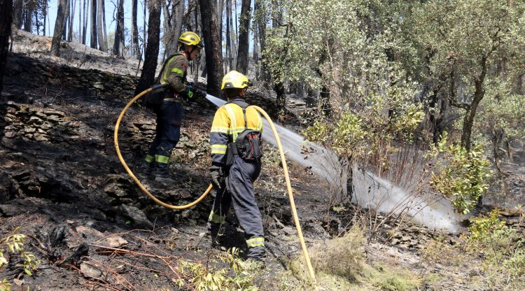 Bombers remullant la zona de l'incendi de les Gavarres. ACN