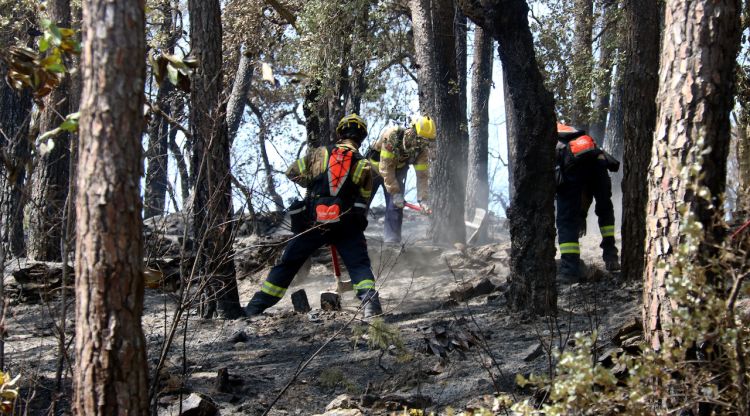 Bombers desbrossant el sotabosc de la zona afectada per l'incendi a les Gavarres. ACN