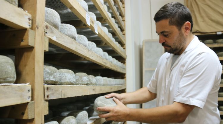 El formatger Josep Martí, president del gremi a Catalunya, fregant uns formatges elaborats a l'empresa familiar que regenta a Albió, nucli de Llorac. ACN