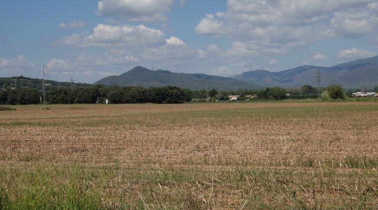 Camp al Pla de la Massana, a Vilablareix, on es projecta construir la nova ciutat esportiva del Girona FC