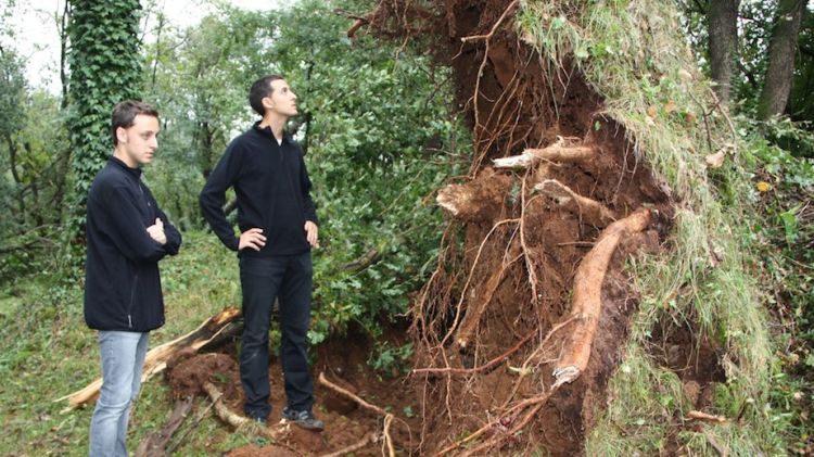 Boscos i camps de conreu van quedar molt afectats