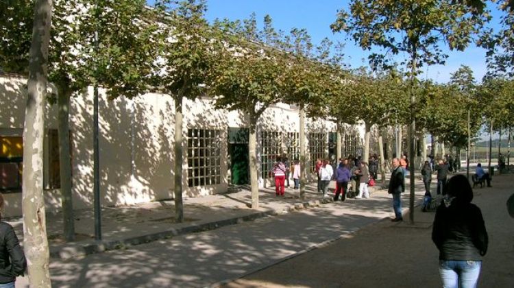 Pati del CEIP Sant Jordi de Maçanet de la Selva (arxiu)