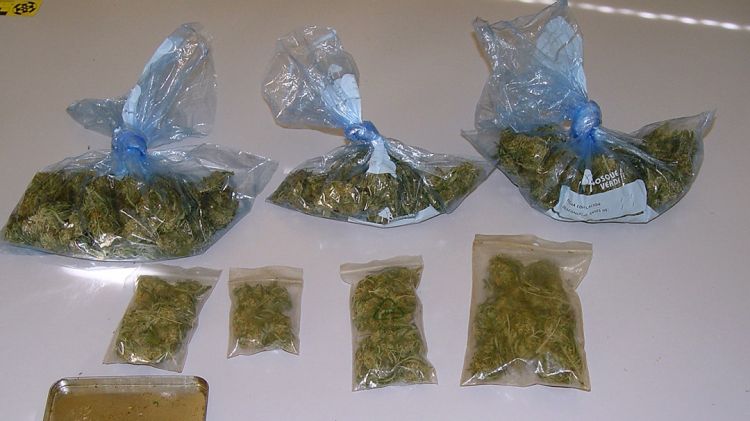 La marihuana decomissada pels agents de la Policia Local de Girona © ACN