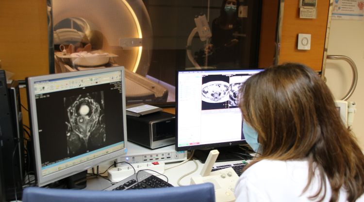 Una tècnica de diagnòstic per la imatge, extraient imatges obtingudes al Trueta per ressonànica magnètica. ACN