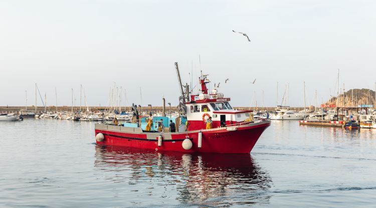 Una de les embarcacions d'encerclament de Sant Feliu de Guíxols que començaran dos mesos d'aturada biològica per afavorir els caladors de peix blau