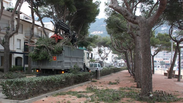 Operaris retirant branques caigues d'arbres a Llafranc © ACN