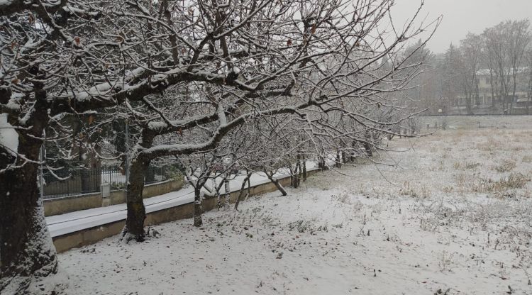 Les primeres volves de neu que han començat a caure ben dinat a Puigcerdà. Raquel Bayell