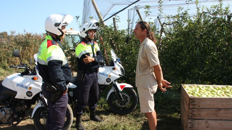 Una patrulla motoritzada dels Mossos d'Esquadra, en un dels camps de conreu de poma de Fontanilles, dins el dispositiu de prevenció de robatoris al camp (arxiu)