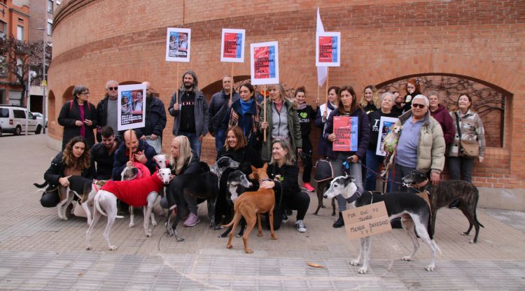 Tots els assistents amb els seus gossos a la concentració a Girona pels drets dels gossos de caça. ACN