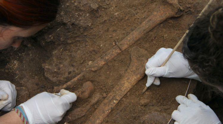 Les restes dels individus que es van trobar en el seu dia