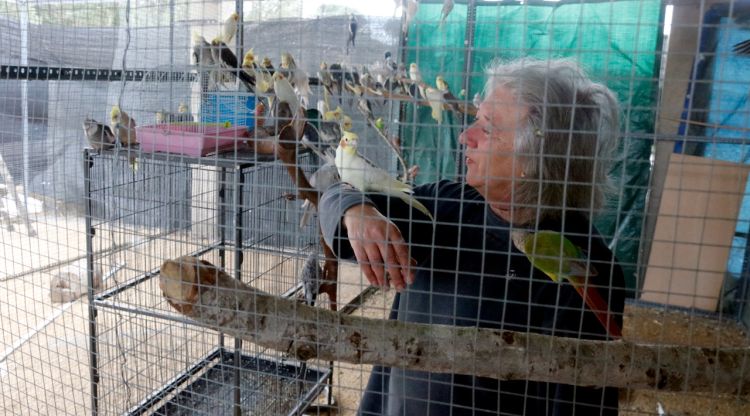 Gladys Freginals amb diversos dels ocells exòtics que té acollits la fundació Ave Fénix. ACN