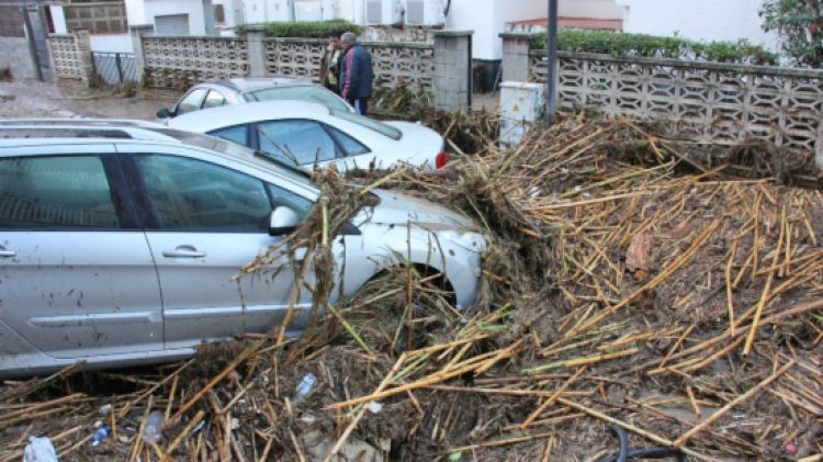 Diferents vehicles han quedat totalment rodejats pel fang i la canyissa en aquesta zona de Salou © ACN