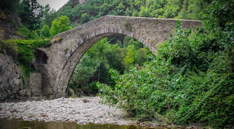 Les restes van ser localitzades prop del Pont de la Cabreta. Manel Pablo