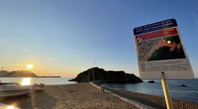 Blanes restringeix la pesca recreativa a les platges del municipi
