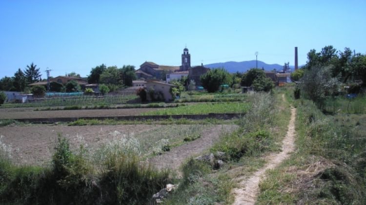 La zona d'hortes del sector de Sota Monestir de Banyoles © ACN